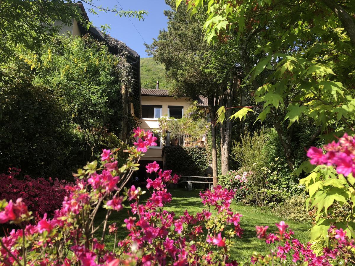 Chez Marianne "Chambres D'Hotes" Astano Exterior photo
